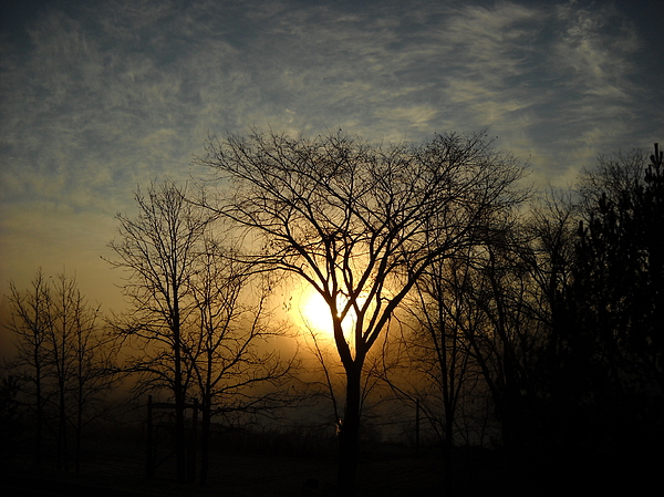 October Sunrise Behind Elm Tree by Kent Lorentzen October Sunrise Behind Elm Tree by Kent Lorentzen